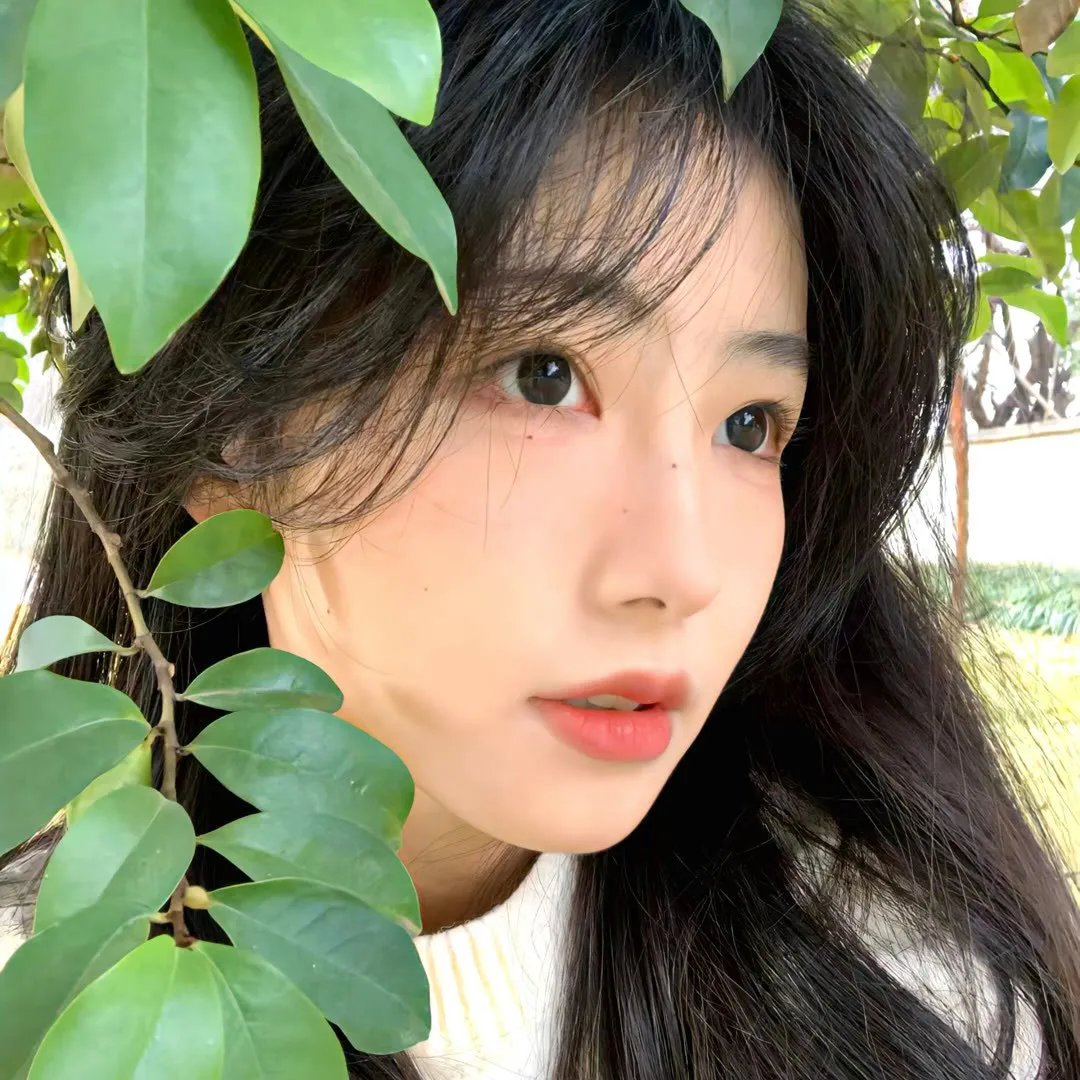 全球影单