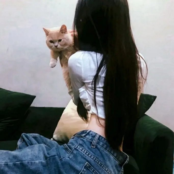 市长夫人的秘密